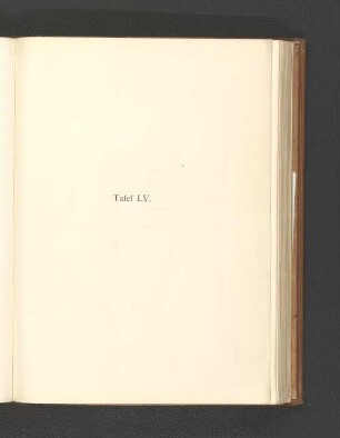 Tafel LV.