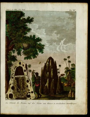 Taf. XV. Die Gebäude der Termes auf der Küste von Guinea ...