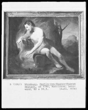 Narcissus