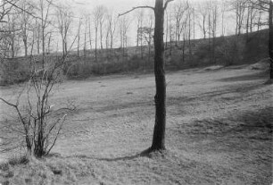 Schanze bei Niethen. Ringwall. : Něćinske hrodźišćo.