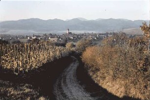 Kirchhofen: Am Batzenberg; Hintergrund Ort; Feldweg