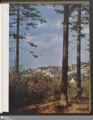 Blick auf Schöneck (Vogtland)
