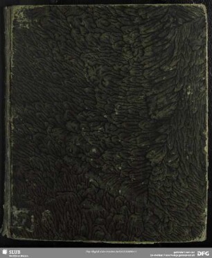 Chronick von Eybau : entworfen 1800