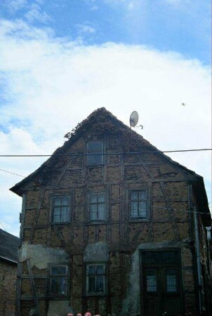 Hausgiebel, zuvor mit Efeu bewachsen (vgl. vorherige Bilder)