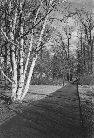 Dresden. Großer Garten