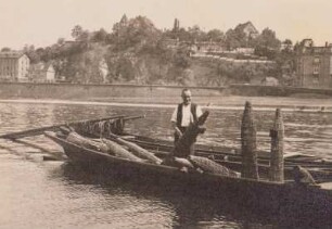 Meißen. Ein Fischer mit Aalreusen im Fischerkahn auf der Elbe