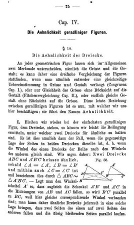 Cap. IV. Die Aehnlichkeit geradliniger Figuren.