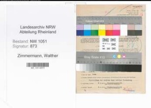 Entnazifizierung Walther Zimmermann , geb. 28.06.1902 (Historiker)