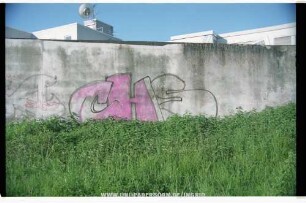 CHS