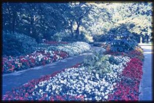 Blumenbeete im Volkspark Wilmersdorf
