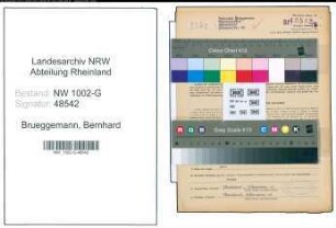 Entnazifizierung Bernhard Brueggemann, geb. 06.04.1891 (Malermeister)
