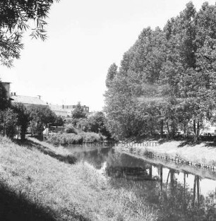Trave: rechts Baumreihe: dahinter Parkplatz an der Lübecker Straße: hinten links Heiligeistviertel, Kaufhaus Nickel und weitere Gebäude