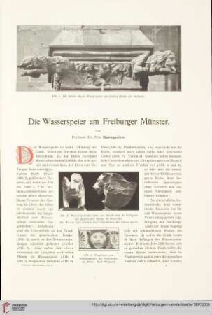 Die Wasserspeier am Freiburger Münster