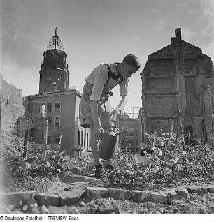 Dresden. Kleingartenarbeit in Trümmerfeldern des Stadtzentrums