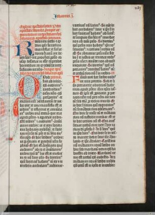 Epistula Iohannis I [1. Johannesbrief]