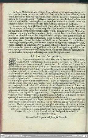 De Gen-to Serpente
