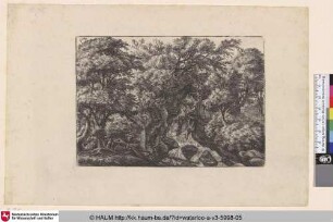 [Landschaft mit Wasserfall; The large waterfall]