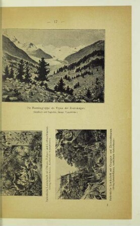 Italienische Landschaft mit Oliven-, Feigen- und Lorbeerbäumen