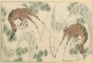 ACD [(Planche double). Langoustes. (Modèle industriel)]