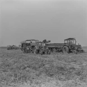 für Landwirtschaftstafeln