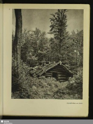 57 Holzfällerhütte am Rachel