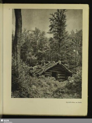 57 Holzfällerhütte am Rachel