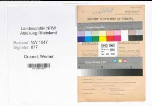 Entnazifizierung Werner Grunert , geb. 13.09.1908 (Ingenieur)