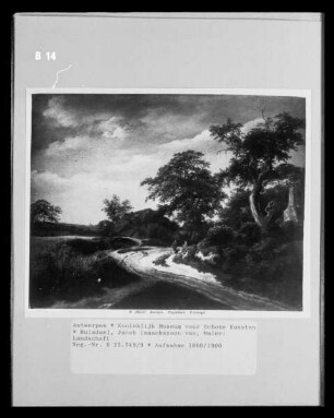 Landschaft
