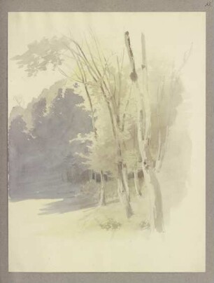 Klebebände, Band 13, Seite 55