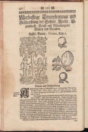 Warhafftige Conterfeytunge und Beschreibung der Gestalt,Natur,Eigenschafft,Kraft und Würckung der Bäume und Stauden