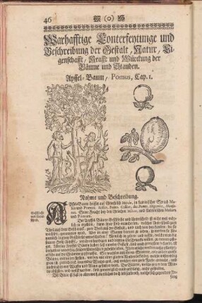 Warhafftige Conterfeytunge und Beschreibung der Gestalt,Natur,Eigenschafft,Kraft und Würckung der Bäume und Stauden