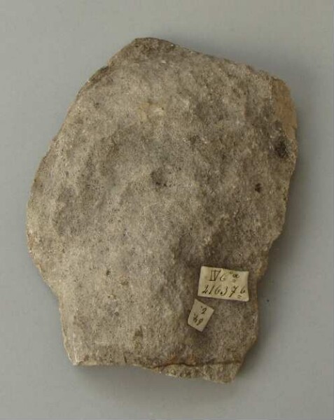 Stone head (fragment)