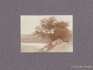Die Elz bei Kollnau