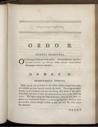 ORDO II. Insecta Hemiphera.