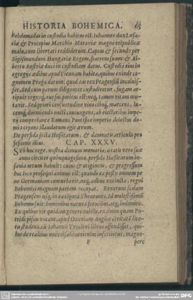 Cap. XXXV. De perfida secta Hussitarum, & damnatis articulis pro fessionis illius