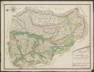 Plan über den Horberberg samt dem daranliegenden Bohrerwald, Statt Freyburger Jurisdiction