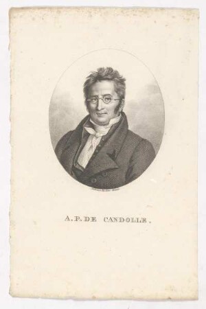 Bildnis des A. P. de Candolle