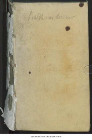 Meditationes Sacrae In Evangelia Dominicalia