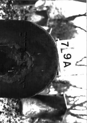 Grabstein A I/7/9A
