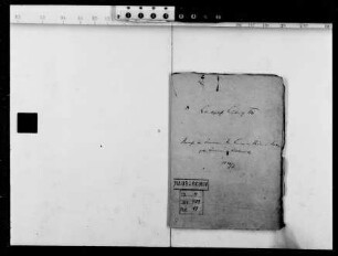 Briefe an Ludwig VIII. von der Prinzessin-Witwe Luise v. Thurn und Taxis, geb. Prinzessin v. Lobkowitz (19 Briefe)