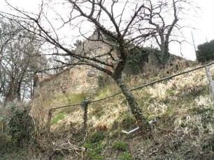 (ehemalige Jakobuskirche)-Ansicht von Südsüdwesten auf Kirchhofmauer-im Süden neben Efeuüberwuchs erhaltene Schießscharte erkennbar
