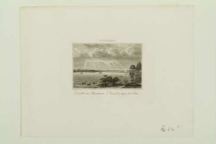 Mannheim