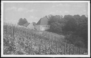 Meißen. Thürmers Weinschank