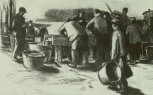 Sortieren der Fische