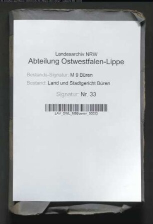 Handlungen der freiwilligen Gerichtsbarkeit (Actus voluntariae jurisdictionis): Bd. XXVIII