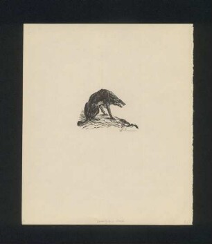 Isegrim der Wolf