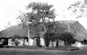 Pflanzerhaus Hüttich : Blick auf ein Wohnhaus bei einer Plantage.