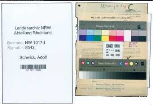 Entnazifizierung Adolf Schwick , geb. 07.06.1899 (Angestellter)