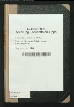 Salbuch der Stadt Salzuflen von 1862, Bd. 1 (Duplikat)