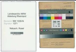 Entnazifizierung Rosel Natusch , geb. 19.01.1915 (Stenotypistin)
